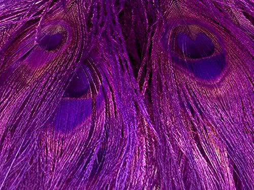 100 Pieces – Purple Bleached & Dyed Peacock Tail Eye Wholesale Feathers (Bulk) 10-12” Long