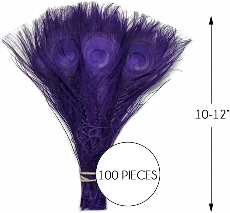 100 Pieces – Eggplant Bleached & Dyed Peacock Tail Eye Wholesale Feathers (Bulk) 10-12” Long