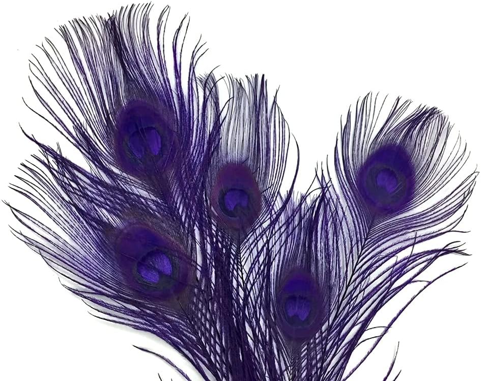 50 Pieces – Eggplant Bleached & Dyed Peacock Tail Eye Wholesale Feathers (Bulk) 10-12” Long