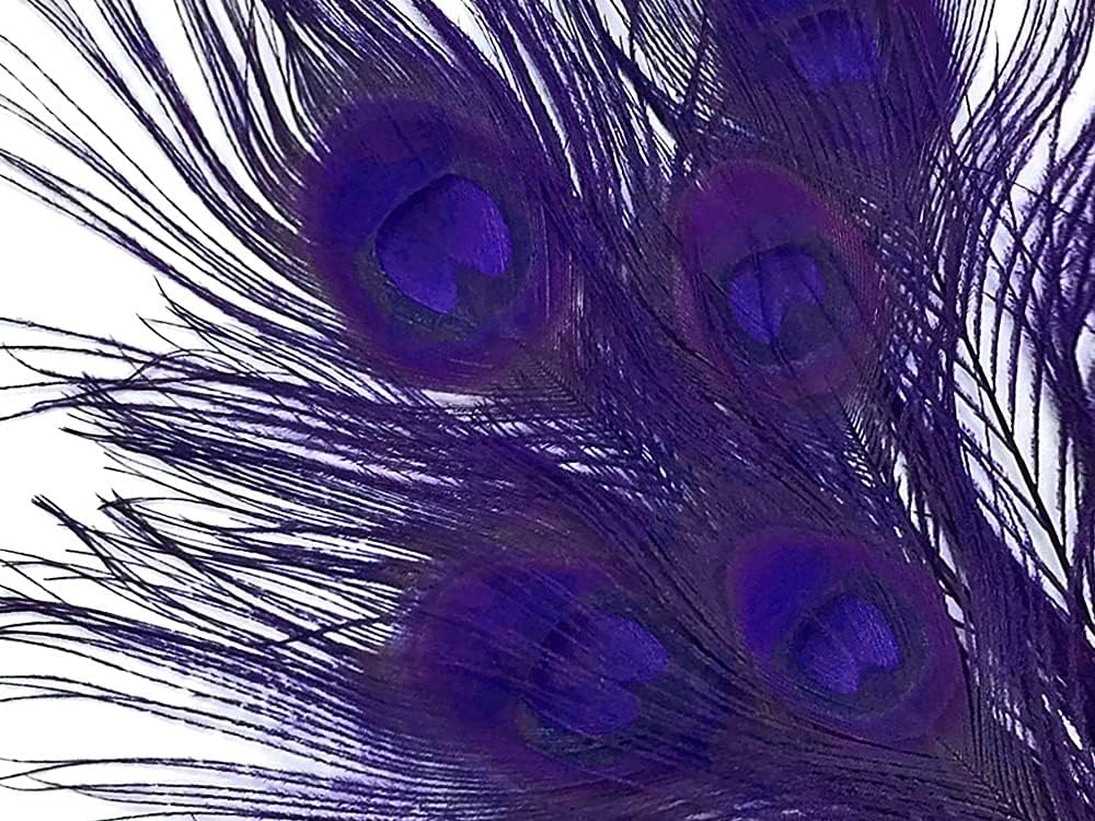50 Pieces – Eggplant Bleached & Dyed Peacock Tail Eye Wholesale Feathers (Bulk) 10-12” Long