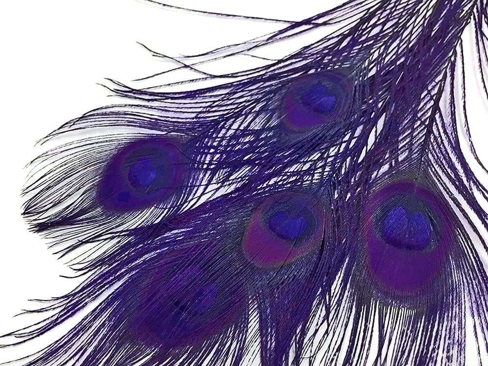 100 Pieces – Eggplant Bleached & Dyed Peacock Tail Eye Wholesale Feathers (Bulk) 10-12” Long