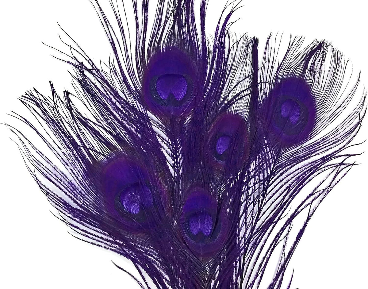 50 Pieces – Eggplant Bleached & Dyed Peacock Tail Eye Wholesale Feathers (Bulk) 10-12” Long