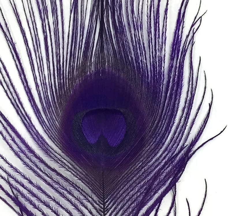 50 Pieces – Eggplant Bleached & Dyed Peacock Tail Eye Wholesale Feathers (Bulk) 10-12” Long