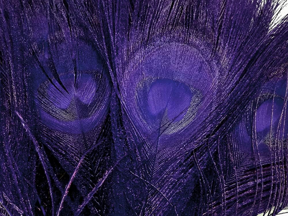 50 Pieces – Eggplant Bleached & Dyed Peacock Tail Eye Wholesale Feathers (Bulk) 10-12” Long