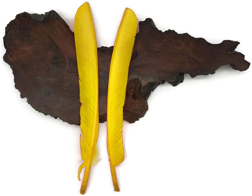 1/4 Lb - Yellow Turkey Pointers Quill Large Wholesale Feathers (Bulk)