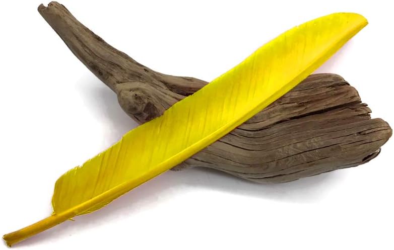 1/4 Lb - Yellow Turkey Pointers Quill Large Wholesale Feathers (Bulk)