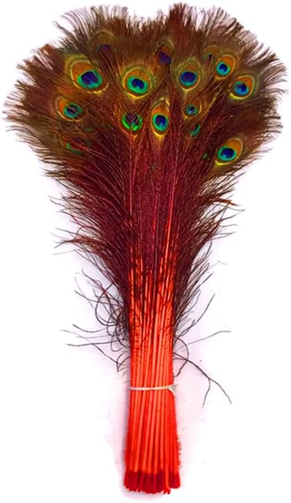 50 Pieces - 20-25" Orange Dyed Over Natural Long Peacock Tail Eye Wholesale Feathers (Bulk)