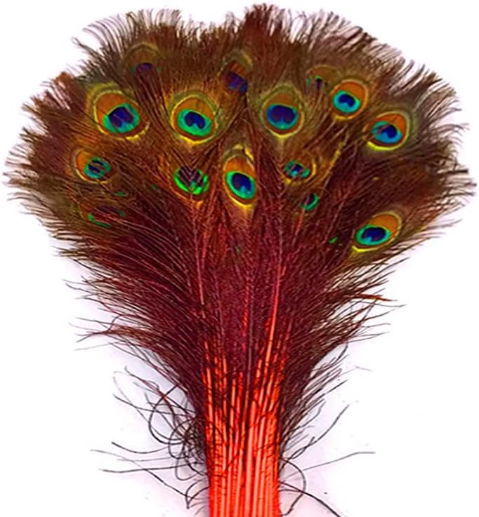 50 Pieces - 30-35" Orange Dyed Over Natural Long Peacock Tail Eye Wholesale Feathers (Bulk)