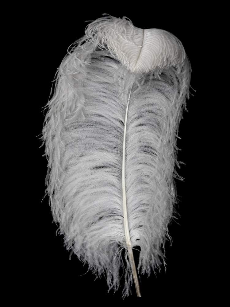 1/2 lb. - 16-18" White Grade #1 Large Ostrich Wing Plumes Wholesale Feather (Bulk)