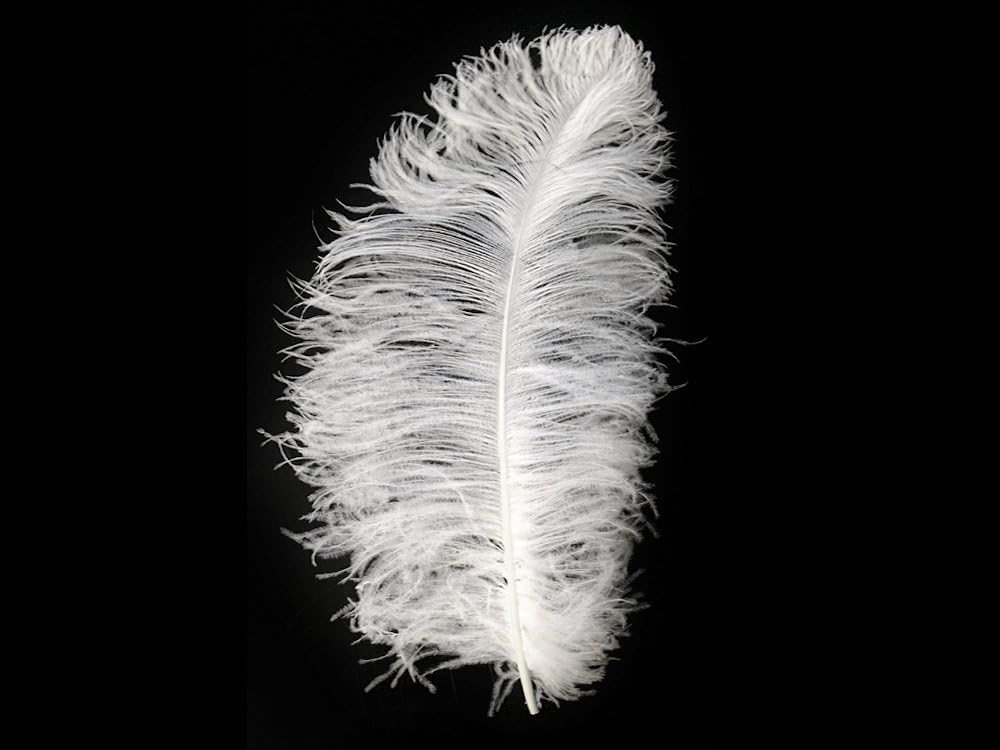 1/2 lb. - 16-18" White Grade #1 Large Ostrich Wing Plumes Wholesale Feather (Bulk)