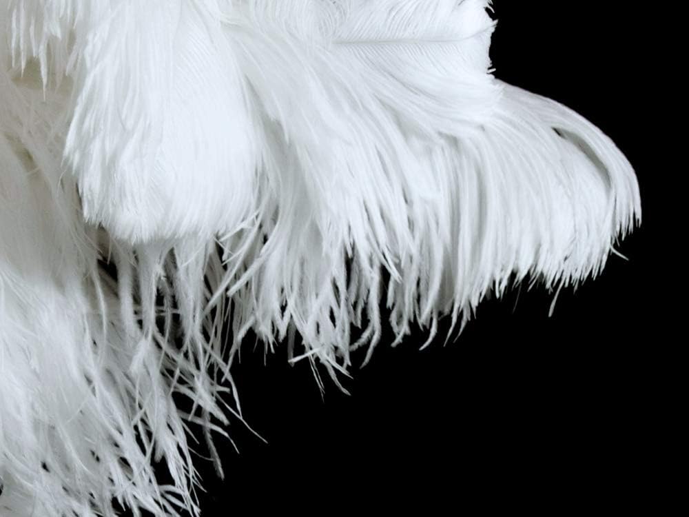 1/2 lb. - 16-18" White Grade #1 Large Ostrich Wing Plumes Wholesale Feather (Bulk)