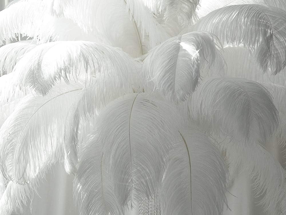 1/2 lb. - 16-18" White Grade #1 Large Ostrich Wing Plumes Wholesale Feather (Bulk)