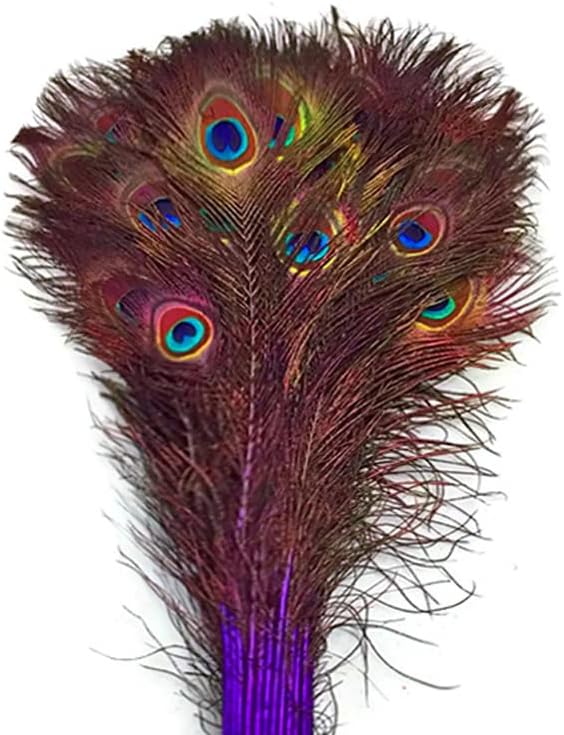 50 Pieces - 30-35" Purple Dyed Over Natural Long Peacock Tail Eye Wholesale Feathers (Bulk)