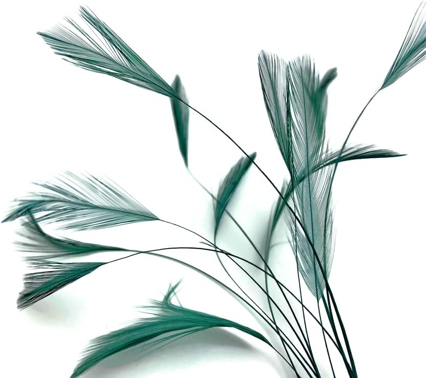 1 Dozen - Hunter Green Stripped Rooster Neck Hackle Eyelash Feather