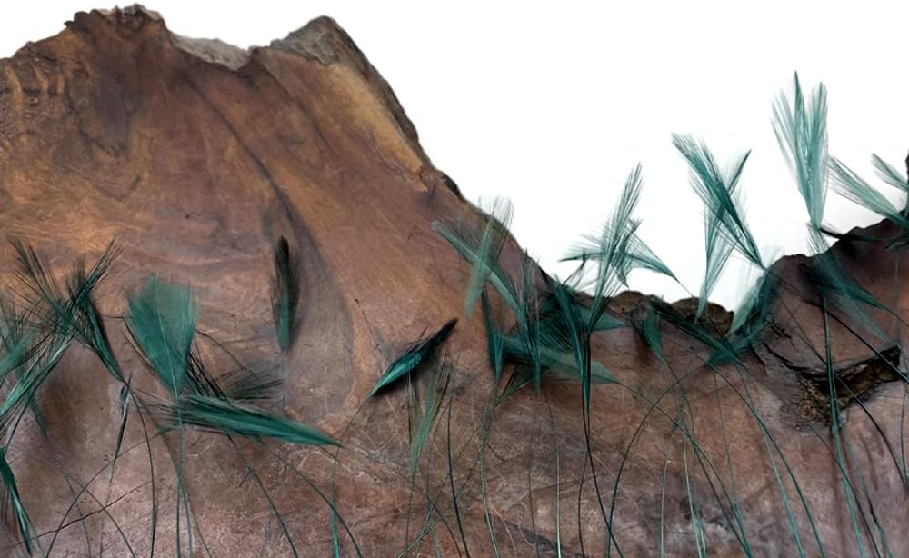 1 Dozen - Hunter Green Stripped Rooster Neck Hackle Eyelash Feather