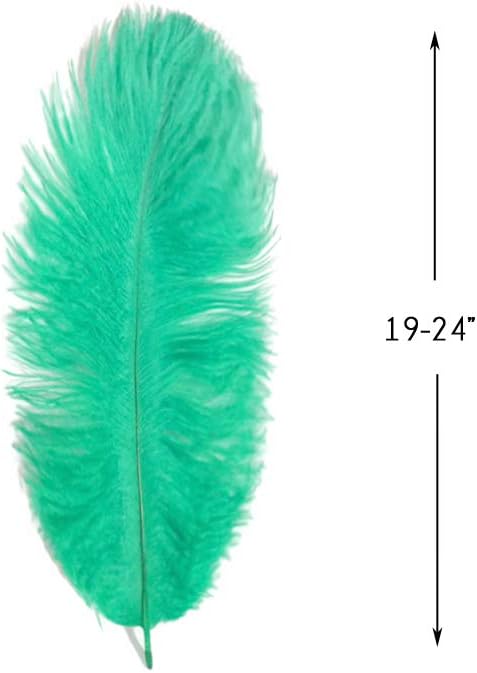 1/2 Lb. - 19-24" Aqua Green Ostrich Extra Long Drab Wholesale Feathers (Bulk)