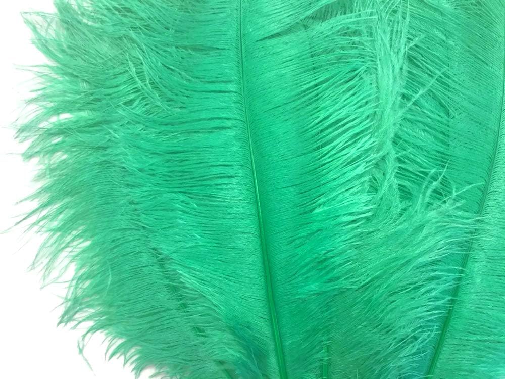 1/2 Lb. - 19-24" Aqua Green Ostrich Extra Long Drab Wholesale Feathers (Bulk)