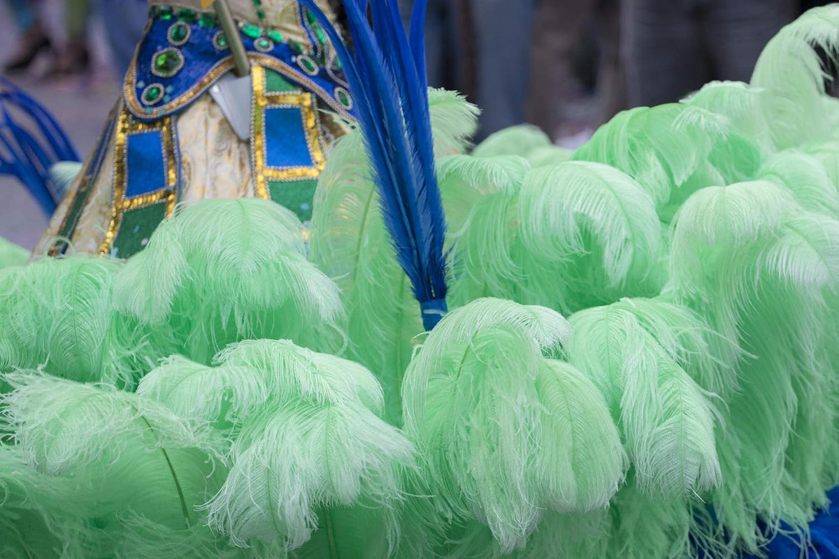 1/2 Lb. - 19-24" Aqua Green Ostrich Extra Long Drab Wholesale Feathers (Bulk)