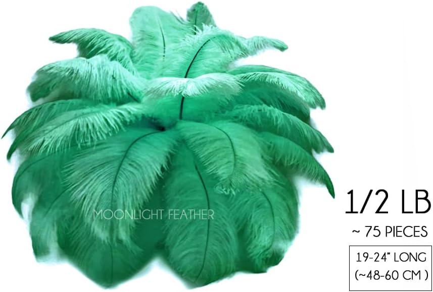 1/2 Lb. - 19-24" Aqua Green Ostrich Extra Long Drab Wholesale Feathers (Bulk)
