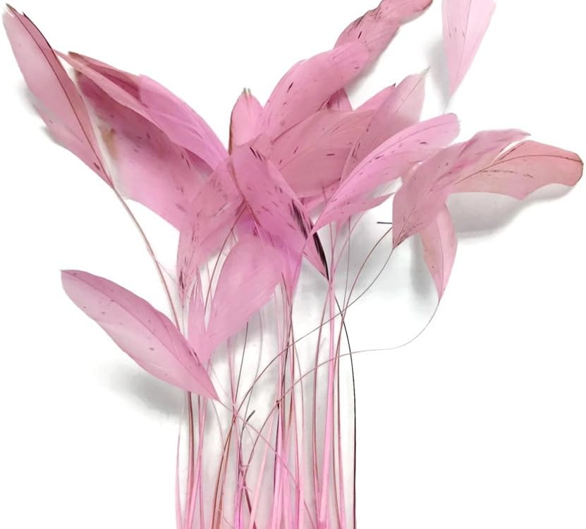 1 Dozen - Light Pink Stripped Rooster Coque Tail Feathers