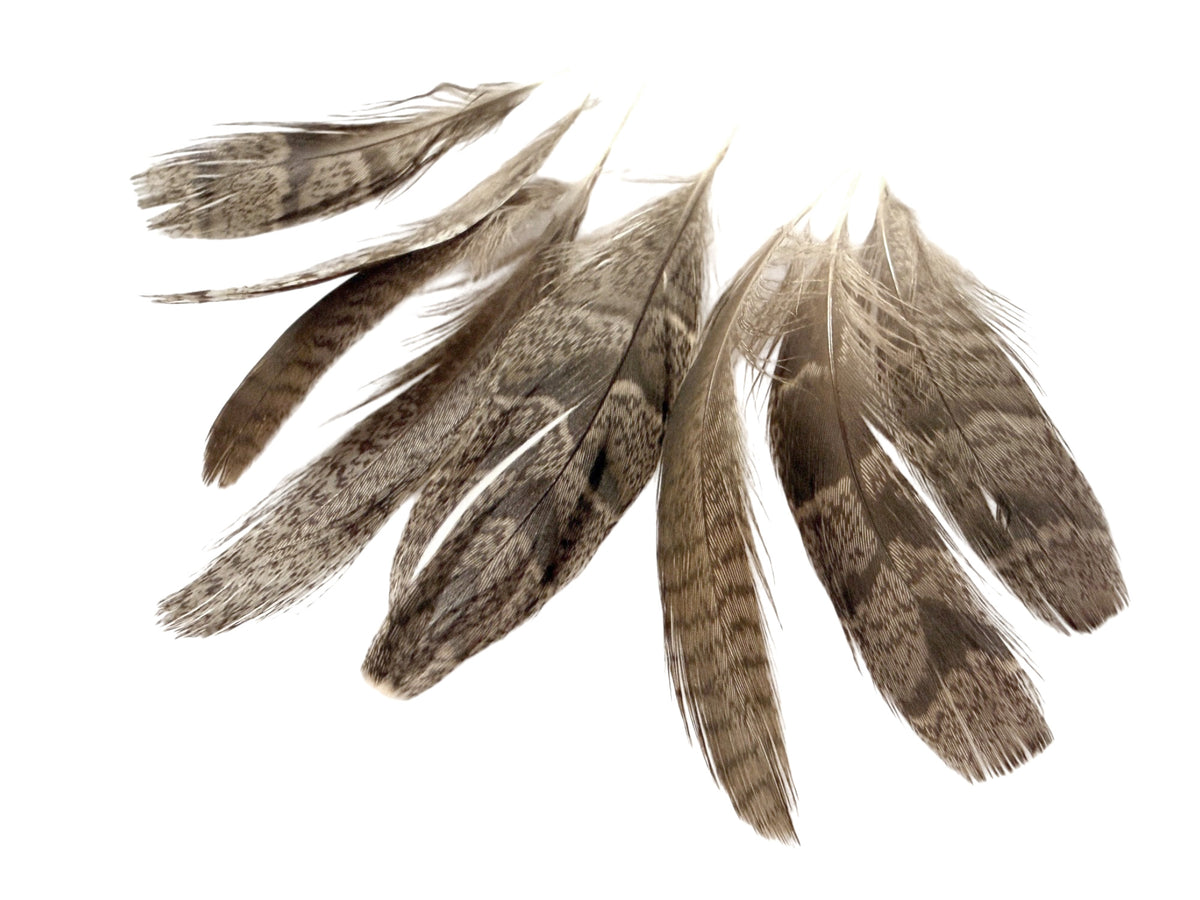 10 Pieces - Black Barred Small Partridge Wing Feathers