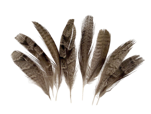 10 Pieces - Black Barred Small Partridge Wing Feathers