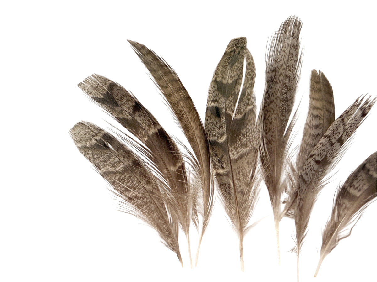 10 Pieces - Black Barred Small Partridge Wing Feathers