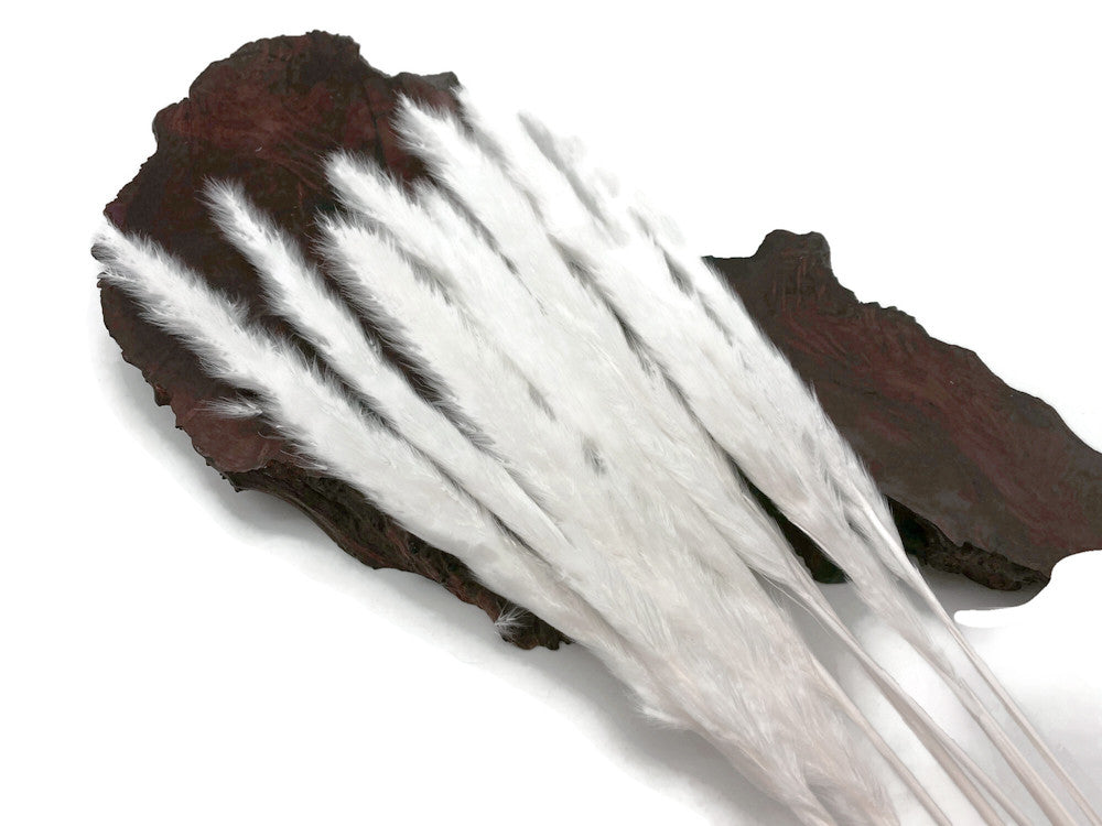 10 Pieces - 18-20" Bleached White Preserved Small Reed Pampas Grass Dried Botanical