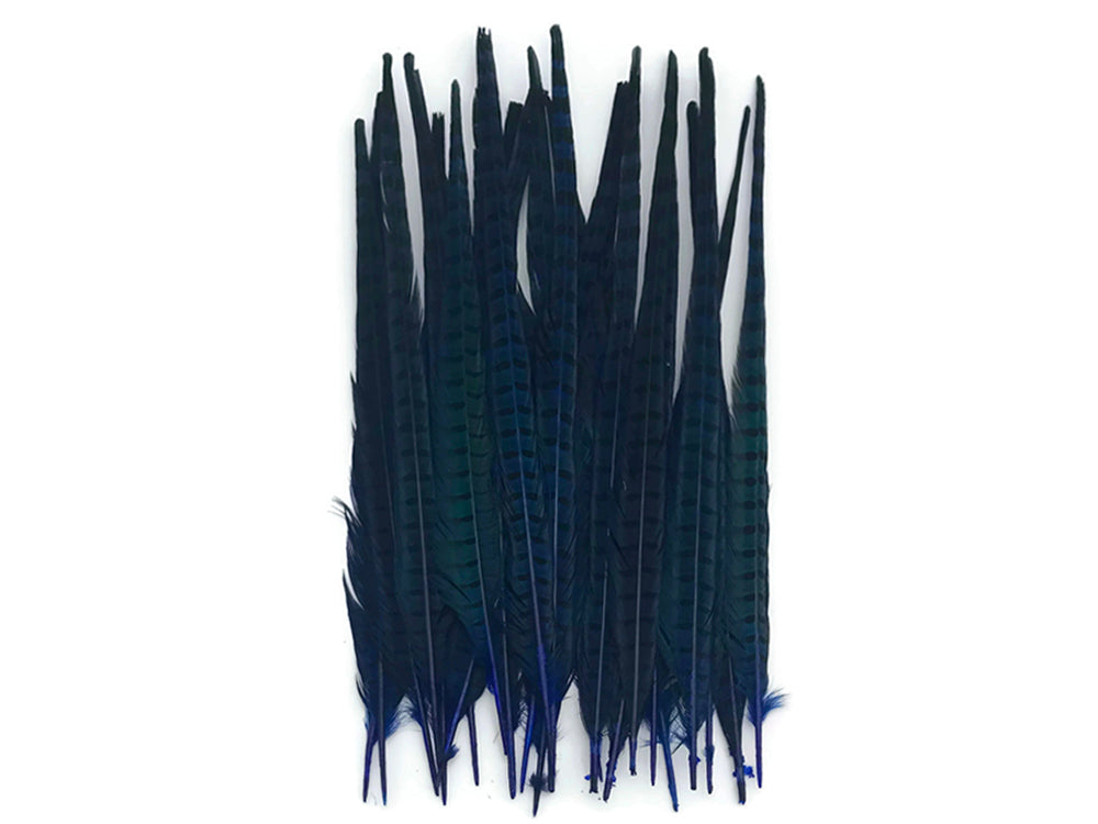50 Pieces - 18-22" Blue Dyed Over Natural Long Ringneck Pheasant Tail Wholesale Feathers (Bulk)