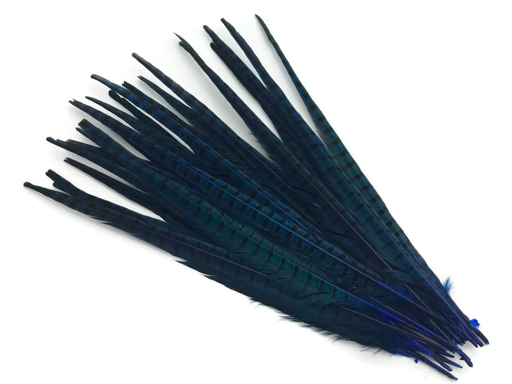 50 Pieces - 18-22" Blue Dyed Over Natural Long Ringneck Pheasant Tail Wholesale Feathers (Bulk)