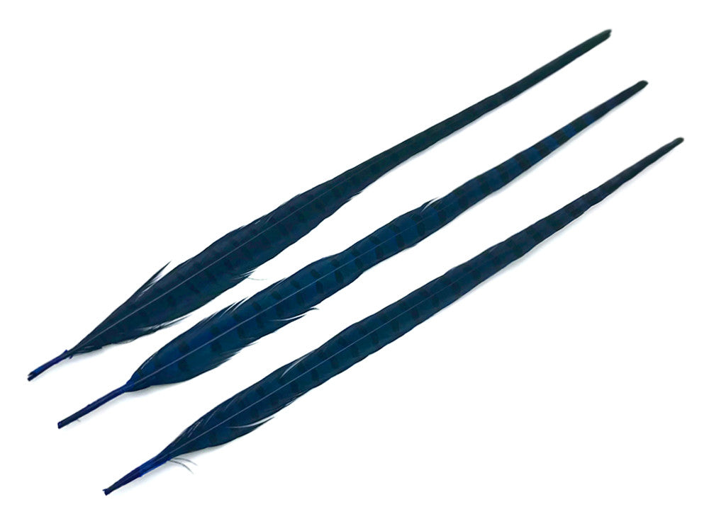 50 Pieces - 18-22" Blue Dyed Over Natural Long Ringneck Pheasant Tail Wholesale Feathers (Bulk)