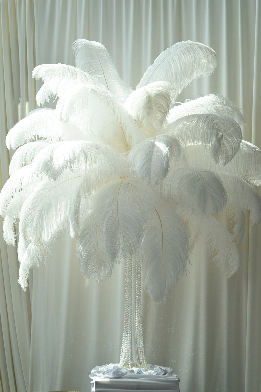 2 Pieces - 29-35" White X-Large Ostrich Wing Plumes Centerpiece Feathers