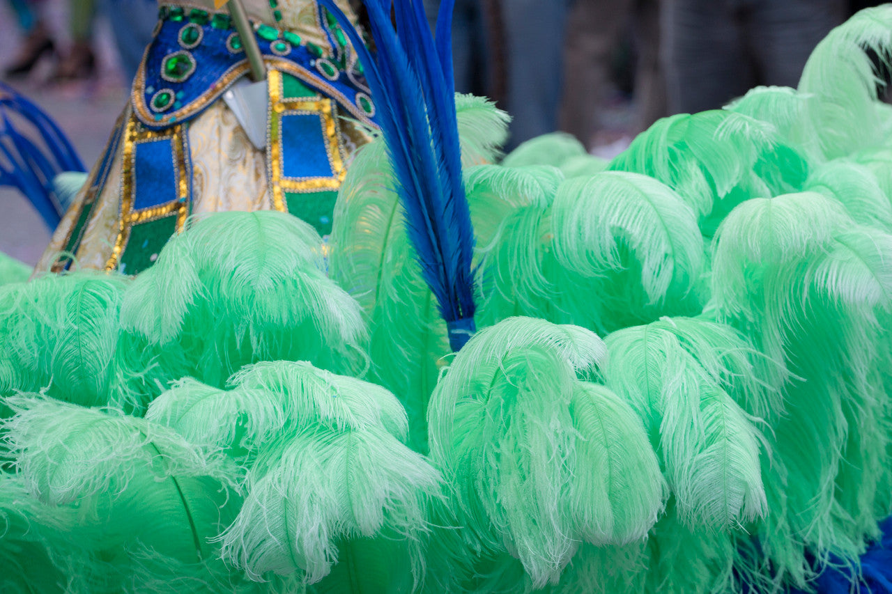 10 Pieces - 17-19" Aqua Green Large Bleached & Dyed Ostrich Drabs Body Feathers