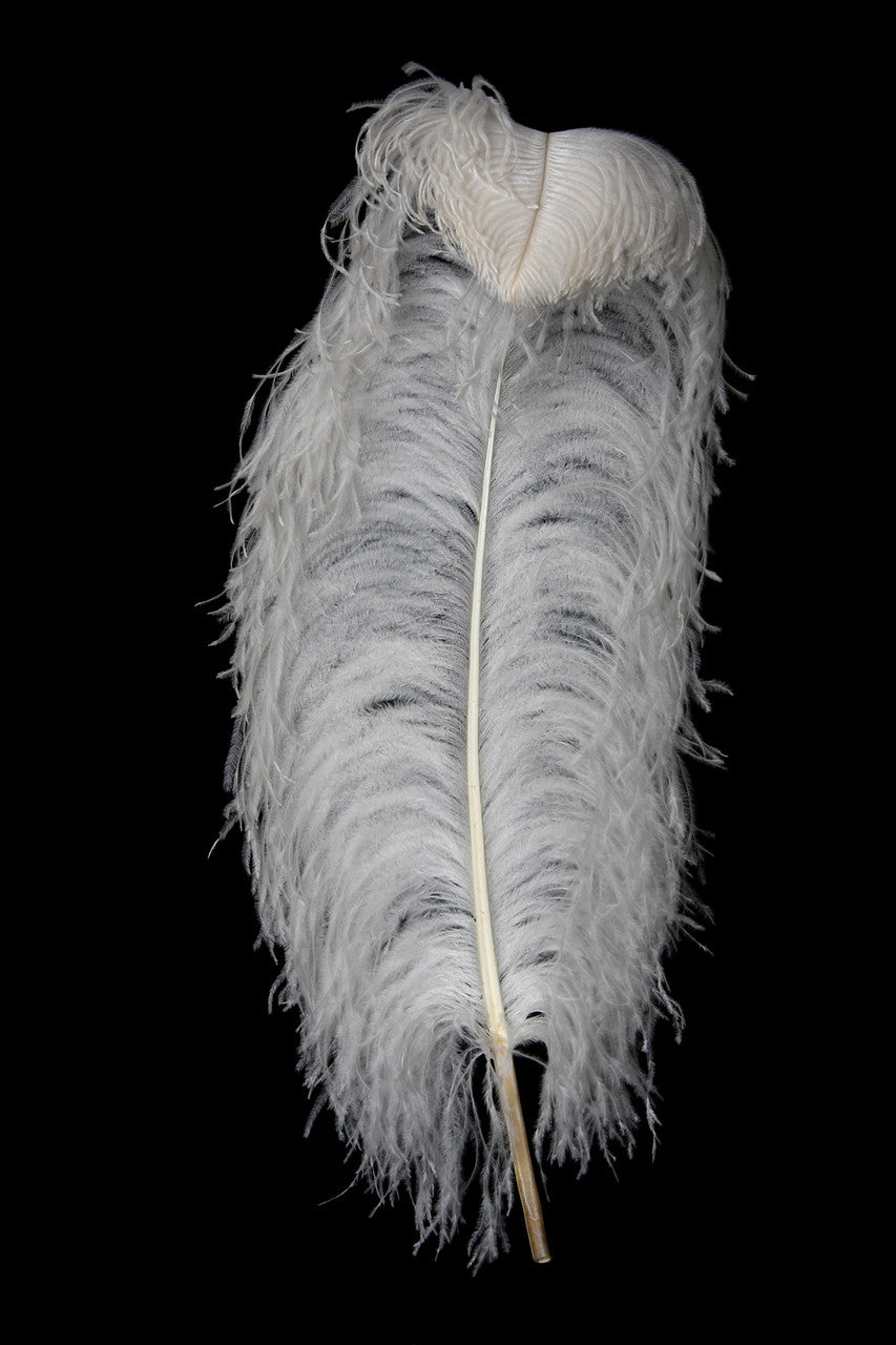 2 Pieces - 29-35" White X-Large Ostrich Wing Plumes Centerpiece Feathers