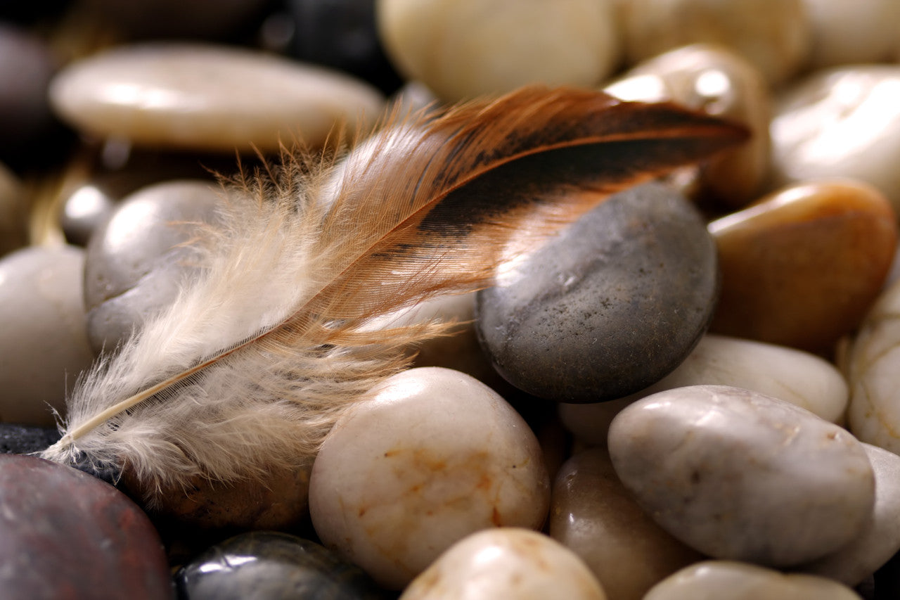 4 Inch Strip - 5-7" Natural Brown Bronze Strung Rooster Schlappen Feathers