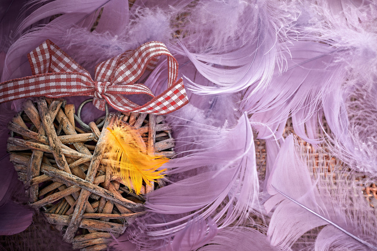 1 Pack - 2-3" Purple Goose Coquille Loose Feathers - 0.35 Oz.