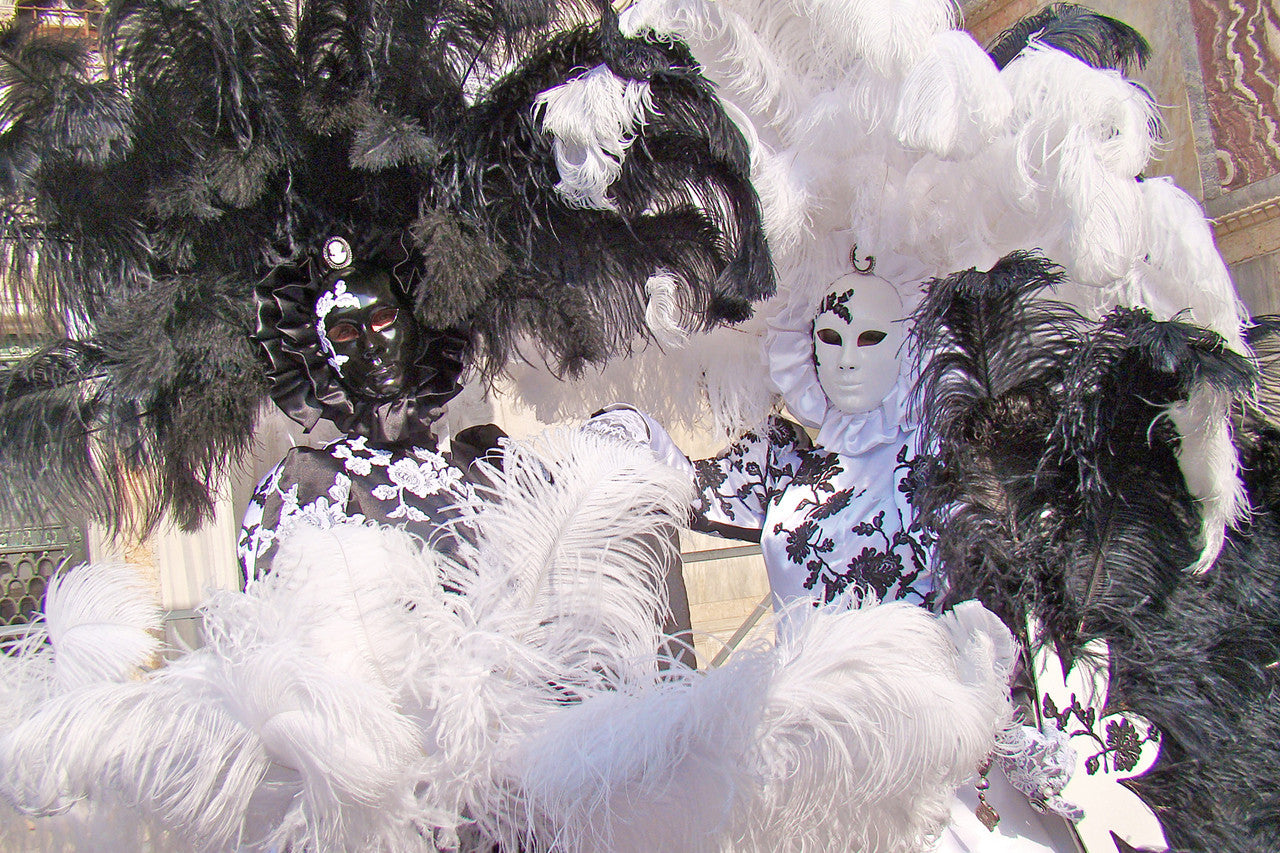 1/2 Lb. - 19-24" Black Ostrich Extra Long Drab Wholesale Feathers (Bulk)