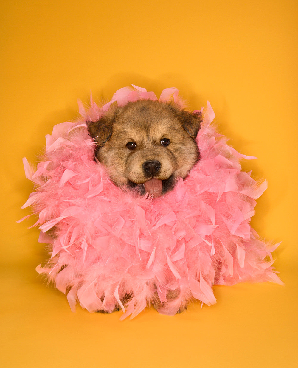 2 Yards - Light Pink Heavy Weight Chandelle Feather Boa | 80 Gram