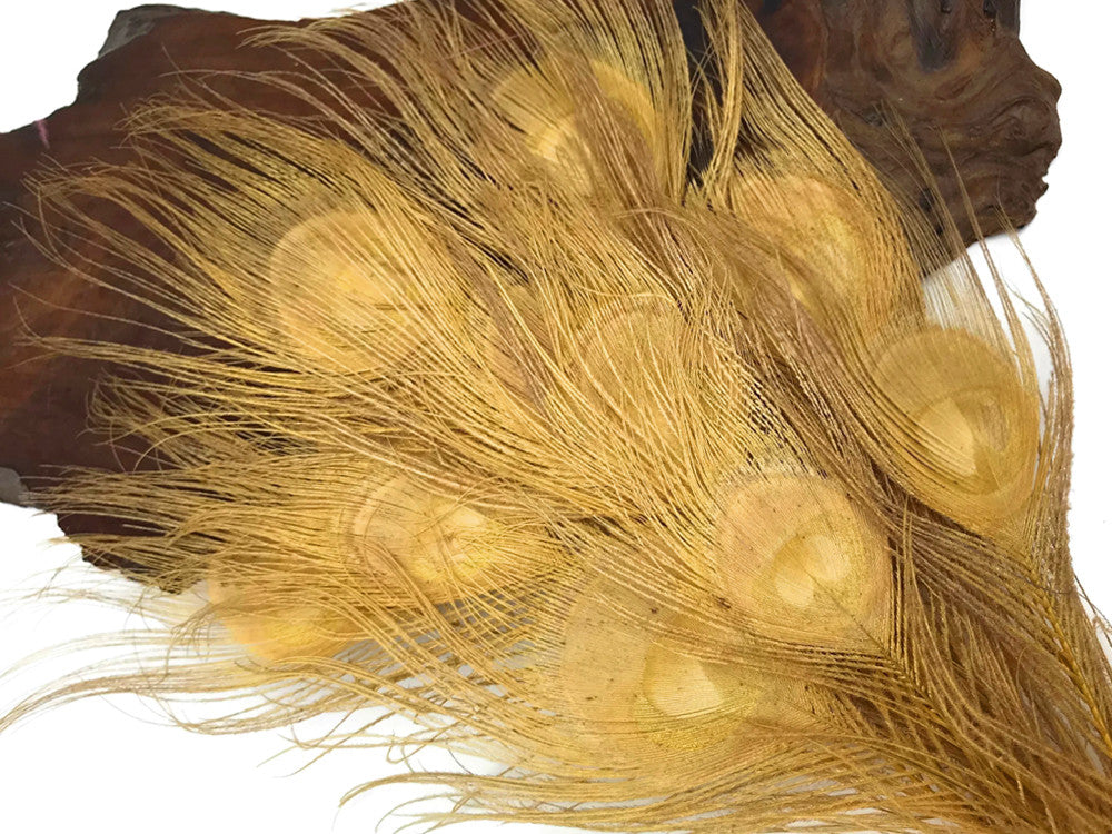 5 Pieces – Dusty Gold Bleached & Dyed Peacock Tail Eye Feathers 10-12” Long 