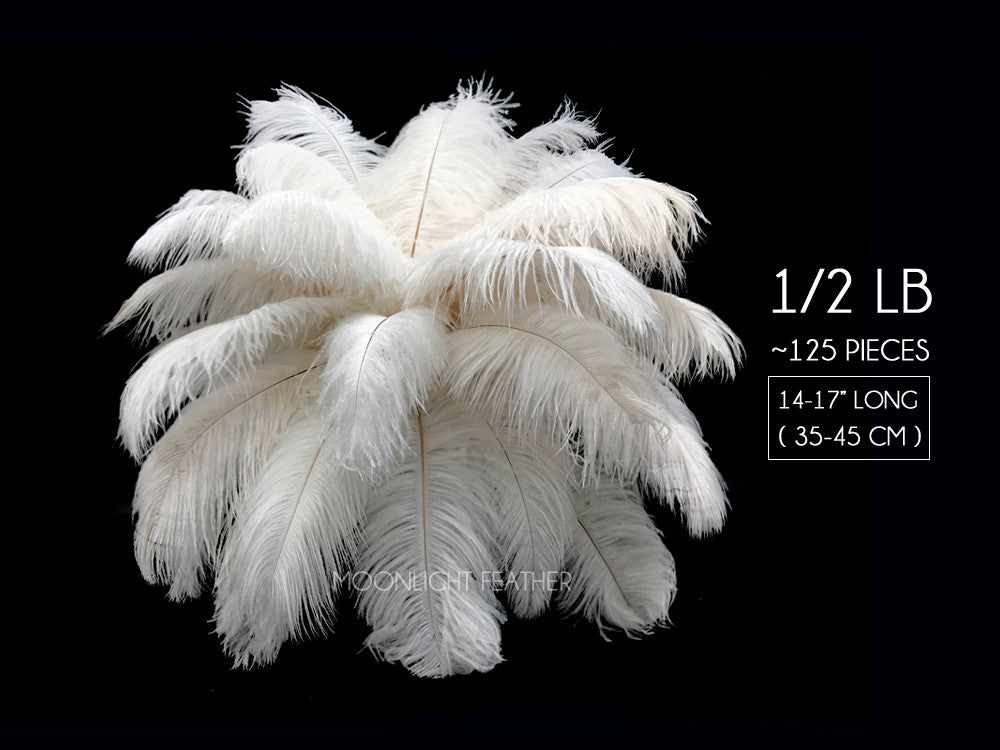 1/2 lb. - 14-17" Off White Ostrich Large Body Drab Wholesale Feathers (Bulk)