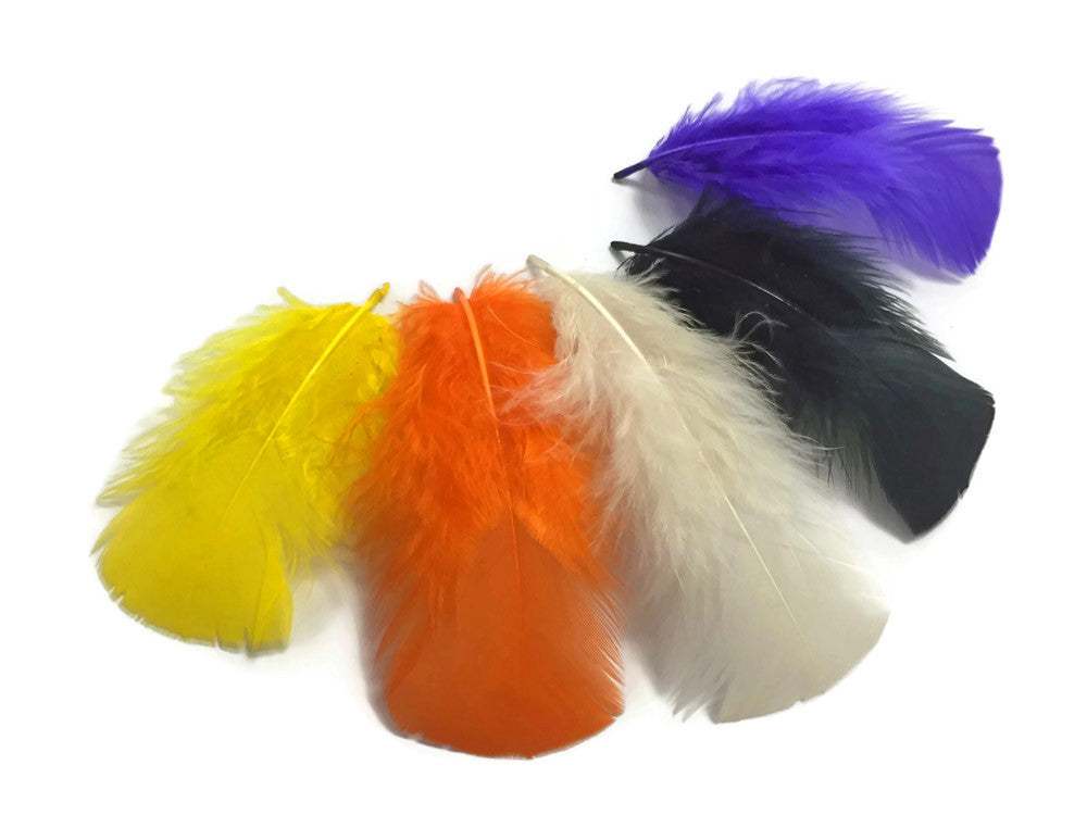 1/4 Lb - Black Turkey T-Base Wholesale Body Plumage Feathers (Bulk)