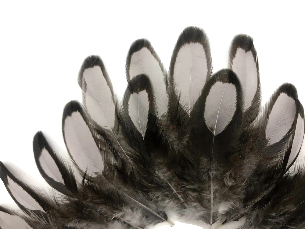 1 Dozen - Heron Gray Whiting Farms Laced Hen Saddle Feathers