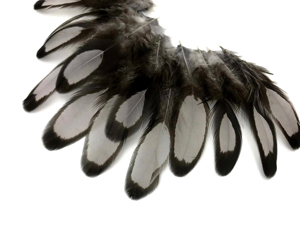 1 Dozen - Heron Gray Whiting Farms Laced Hen Saddle Feathers