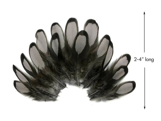 1 Dozen - Heron Gray Whiting Farms Laced Hen Saddle Feathers