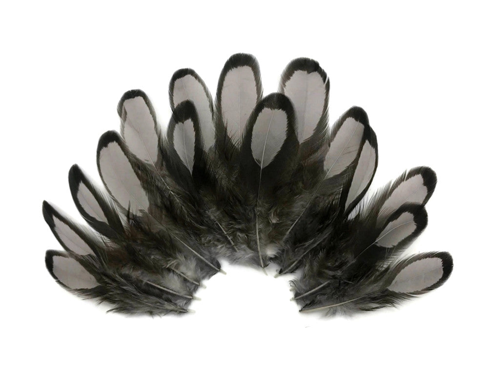 1 Dozen - Heron Gray Whiting Farms Laced Hen Saddle Feathers