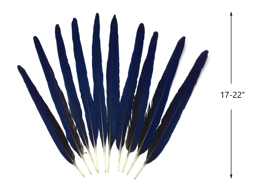 Set of 10 Tails Feathers - 17-22" Navy & Black Hyacinth Macaw Long Tail Feather Set - Rare-