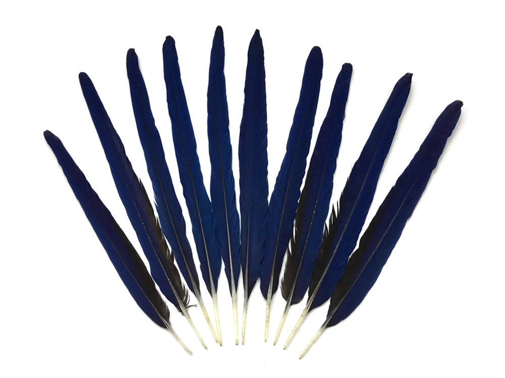 Set of 10 Tails Feathers - 17-22" Navy & Black Hyacinth Macaw Long Tail Feather Set - Rare-