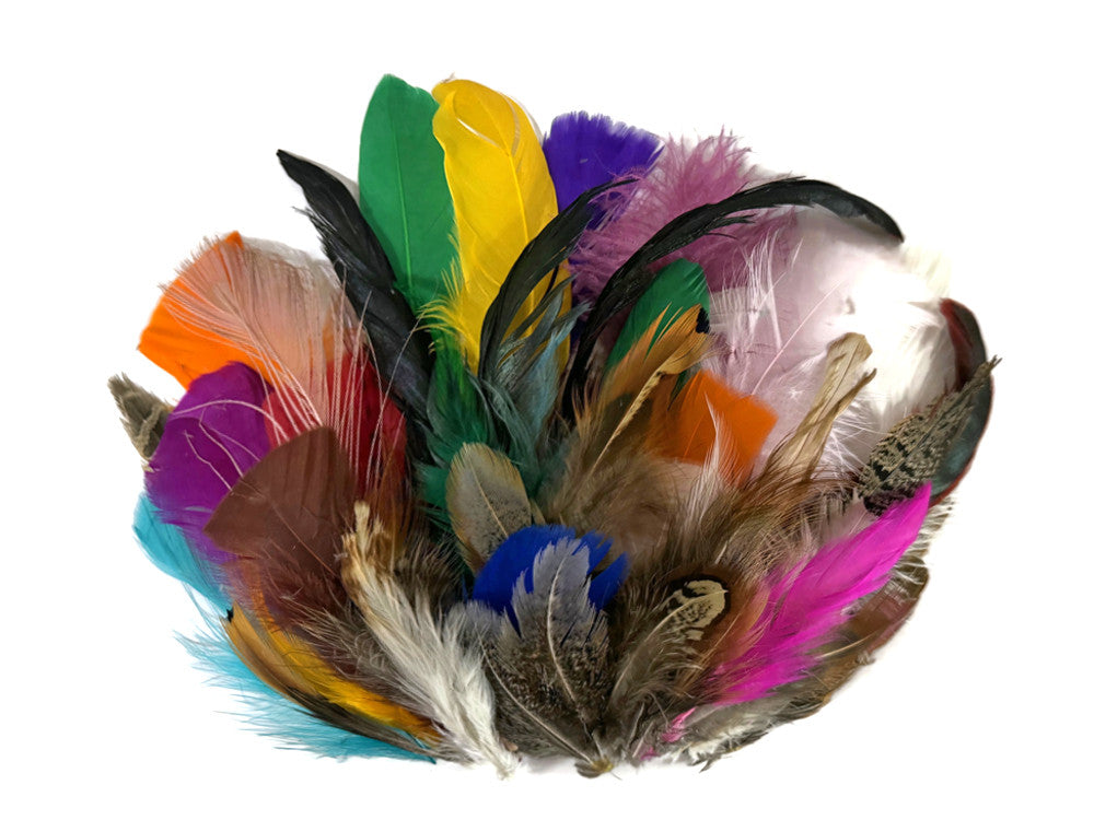 Collection 87 - Mix Random Feather Sample Pack (Bulk)