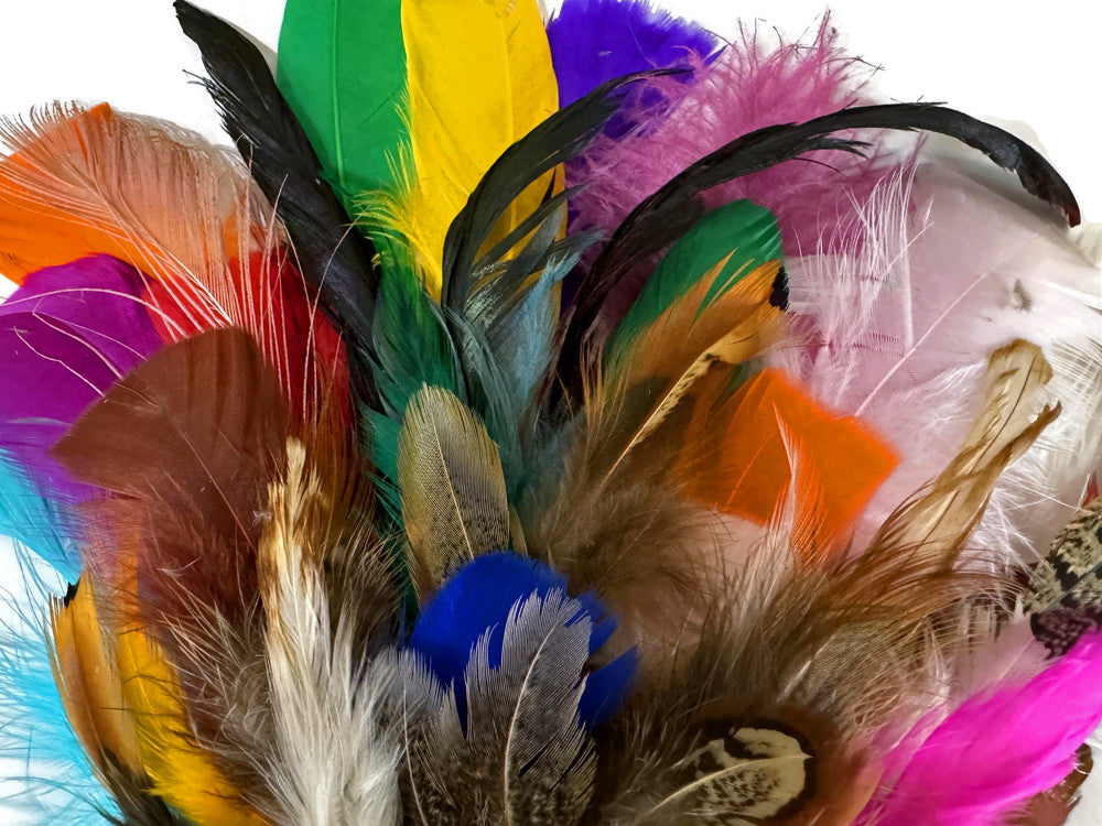 Collection 87 - Mix Random Feather Sample Pack (Bulk)