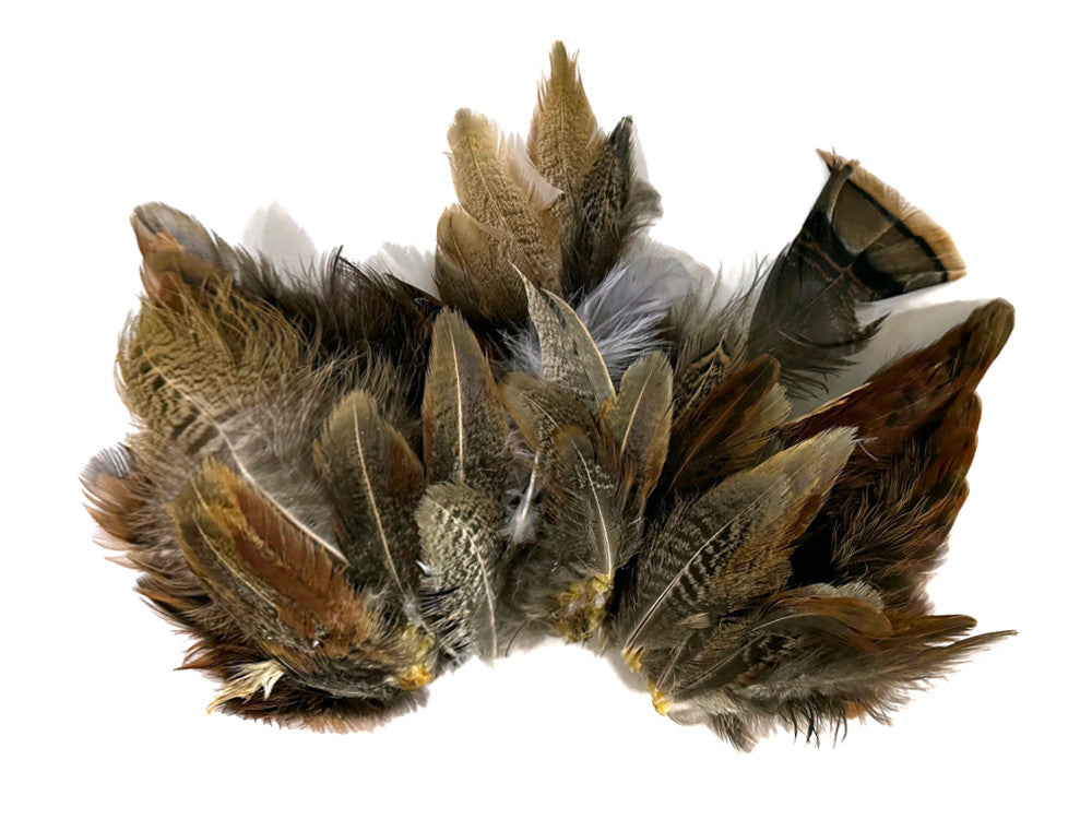 Collection 111 - Mix Random Feather Sample Pack (Bulk)